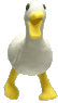 �A�q���@���ʁ@����