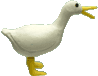�A�q���@������