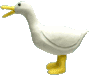 �A�q���@��]