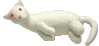 �t�F���b�g