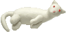 �t�F���b�g