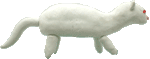 �t�F���b�g