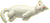 �t�F���b�g�@�Q��