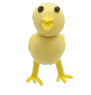 �q���R
