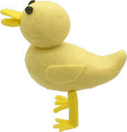 �q���R