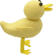 �q���R