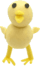 �q���R