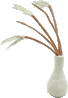 <FONT size="-1">�X�X�L</FONT>