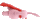 �E�T�M�@���